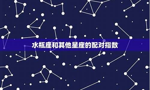 水瓶星座配对是100%_水瓶星座配对