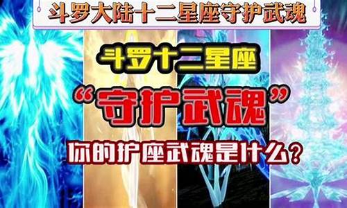 十二星座武魂_十二星座武魂排名