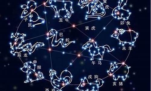 十二星座有哪些象_12星座的象