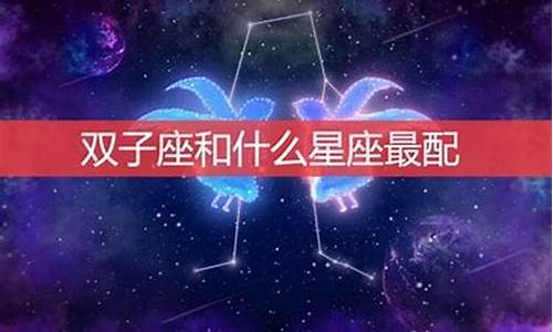 唯一能克双子的星座_双子座最佳星座配对